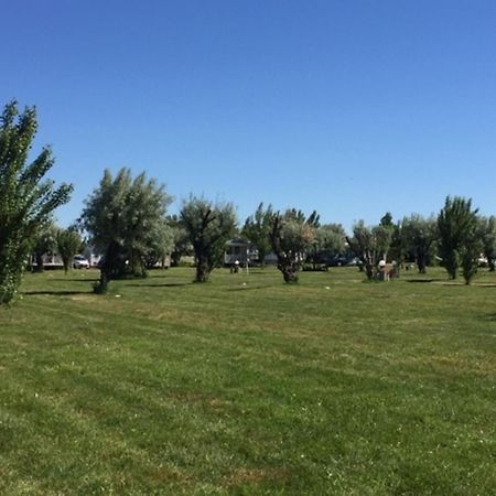Camping Phare Ouest Saint-Denis-dʼOléron Eksteriør billede
